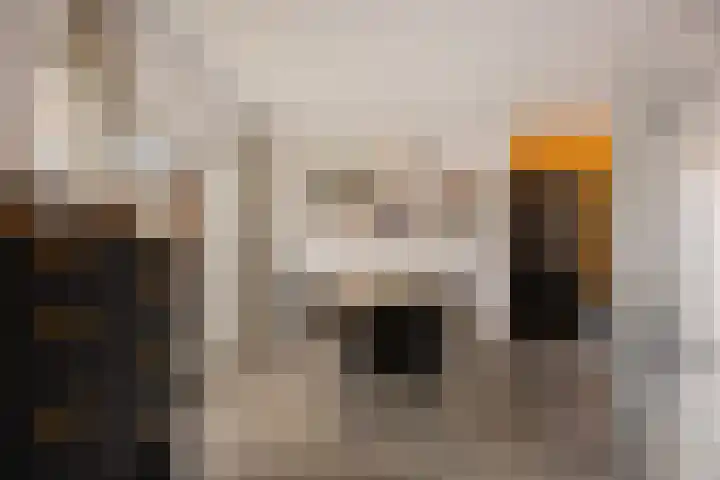 Riete 27 Assen thumbnail 19