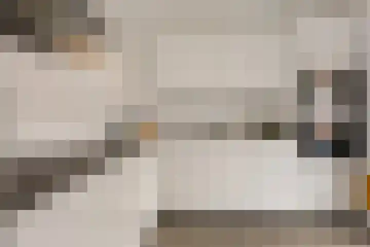 Riete 27 Assen thumbnail 4