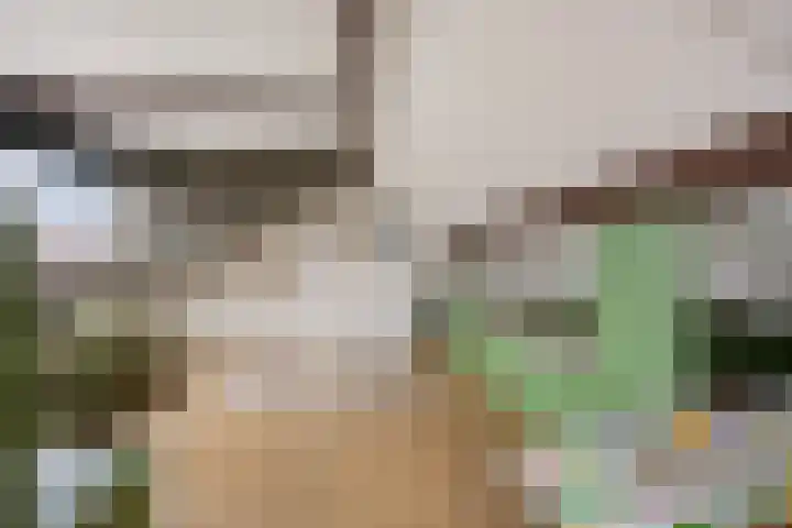 Riete 27 Assen thumbnail 6