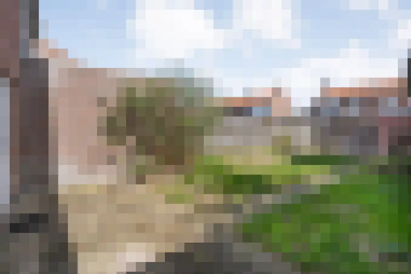 Riete 35 Assen thumbnail 23