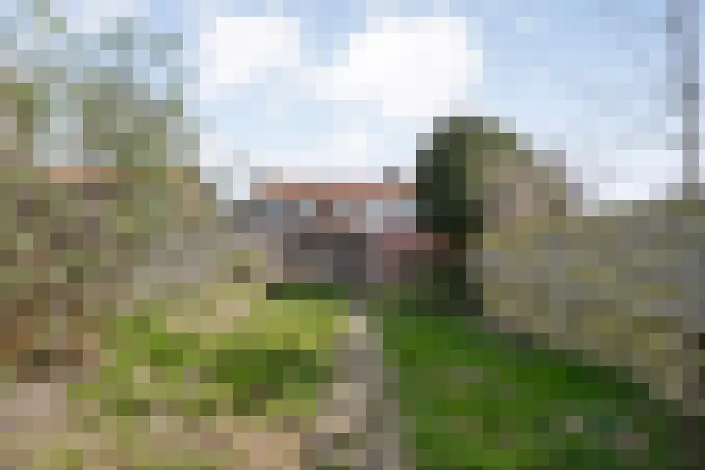 Riete 35 Assen thumbnail 25