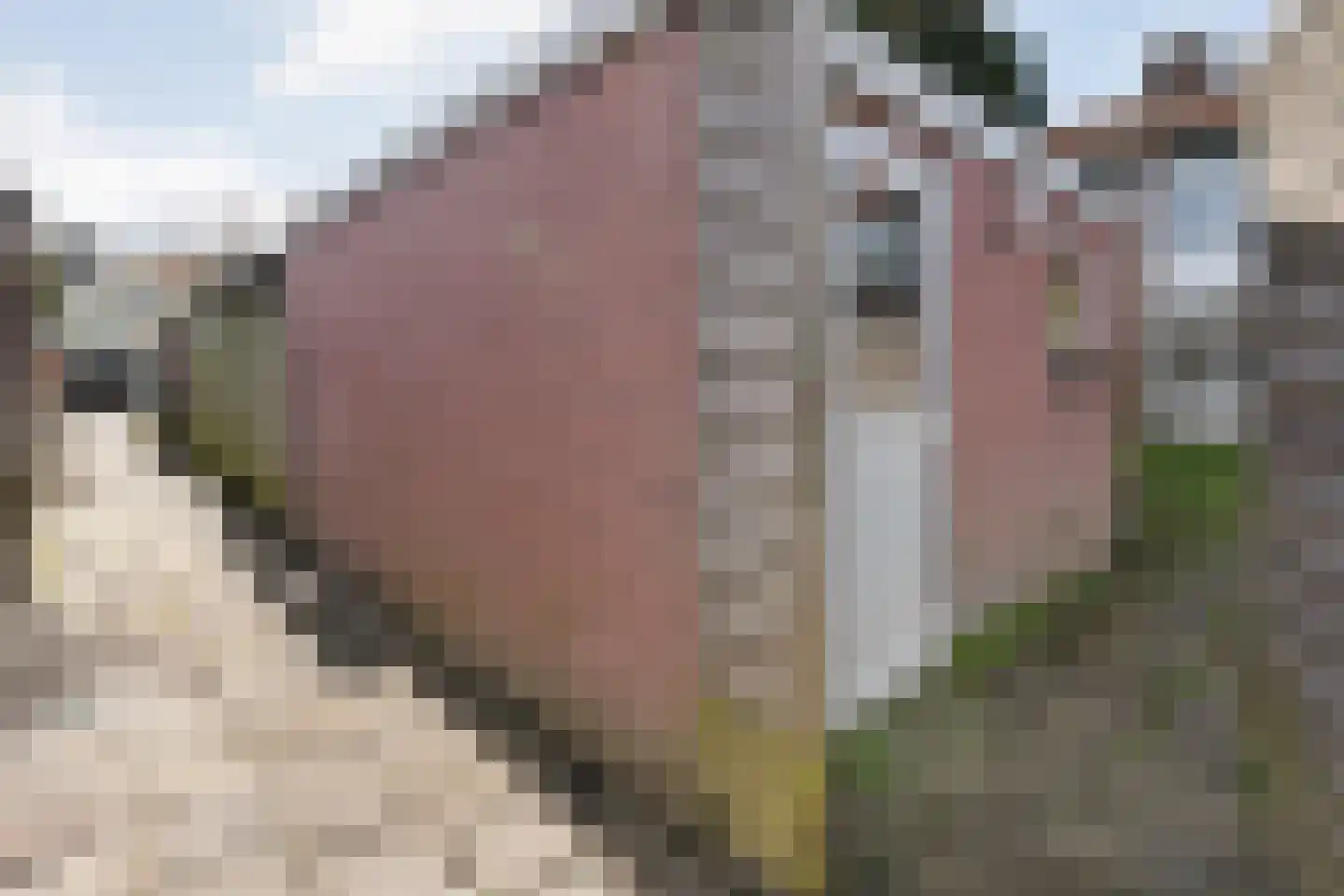 Riete 35 Assen thumbnail 27