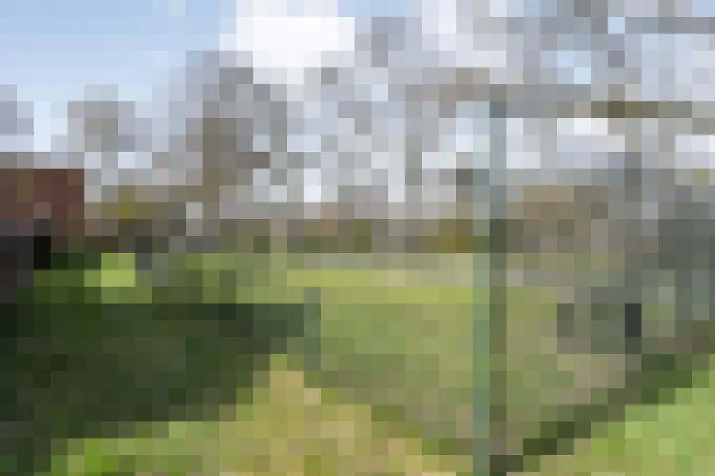 Riete 35 Assen thumbnail 34