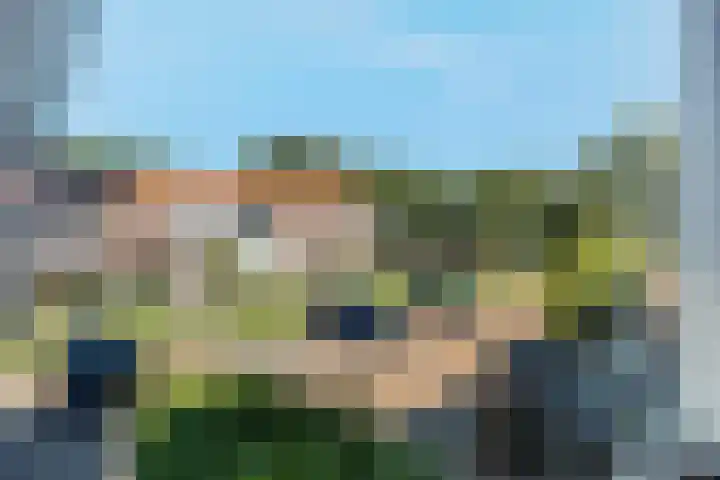 Riete 8 Assen thumbnail 26