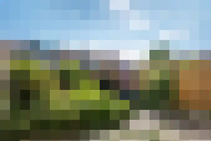 Riete 8 Assen thumbnail 29