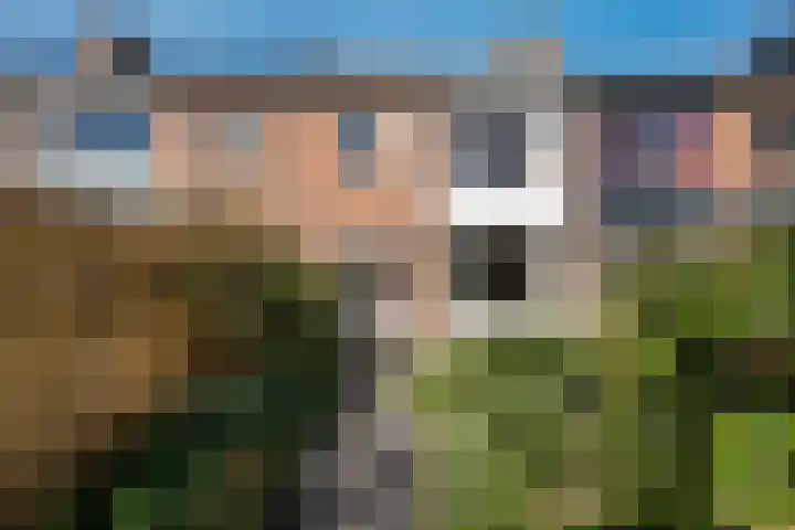 Riete 8 Assen thumbnail 33