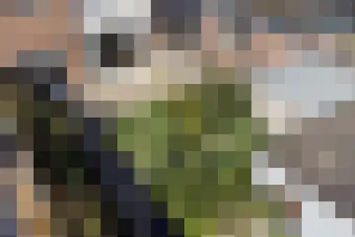 Riete 8 Assen thumbnail 34