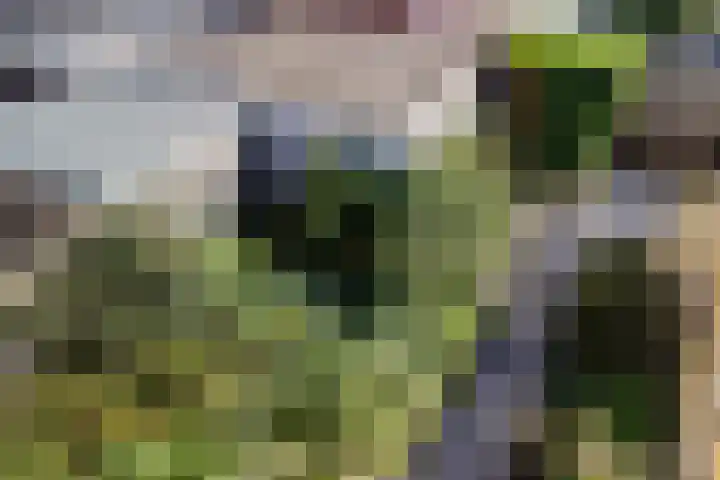 Riete 8 Assen thumbnail 35