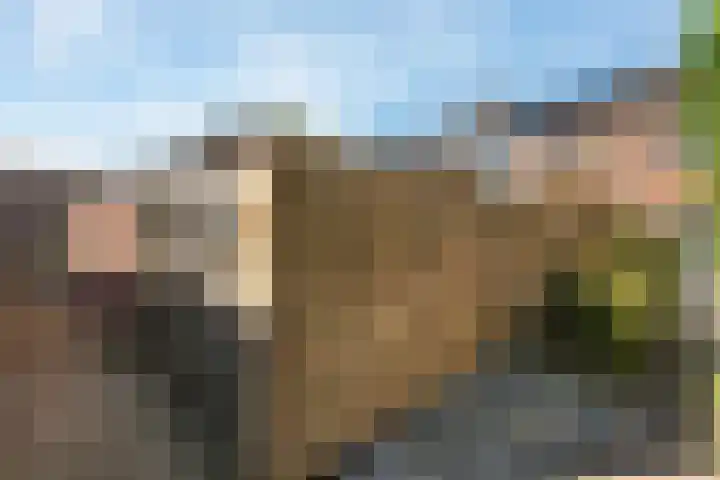 Riete 8 Assen thumbnail 37