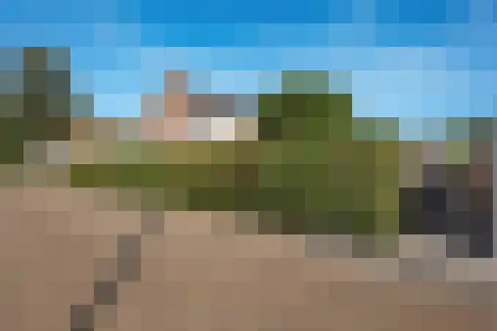 Riete 8 Assen thumbnail 38