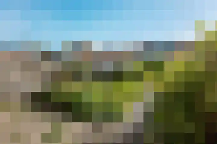 Riete 8 Assen thumbnail 4