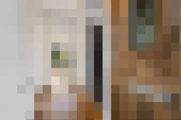 Riete 8 Assen thumbnail 9