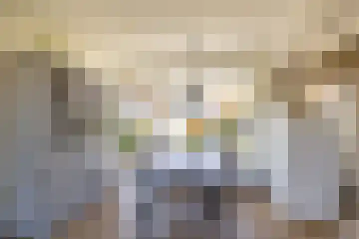 Riete 9 Assen thumbnail 10