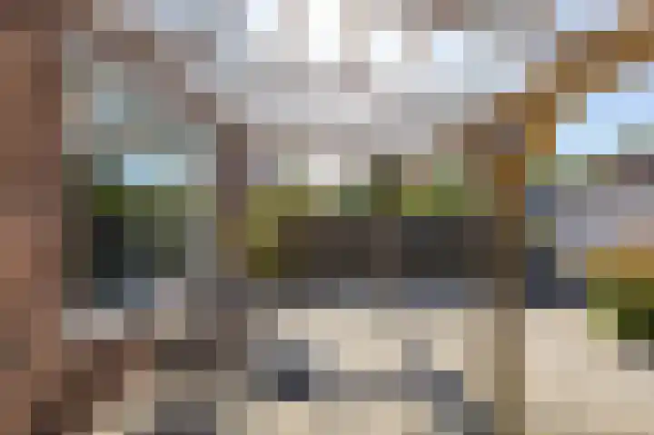 Riete 9 Assen thumbnail 16