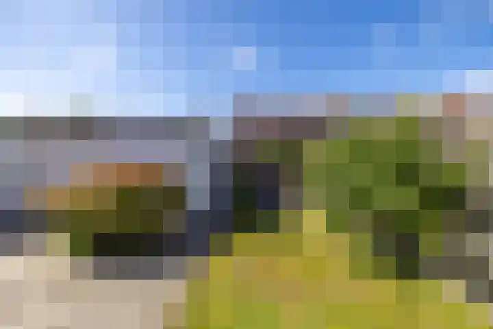 Riete 9 Assen thumbnail 18