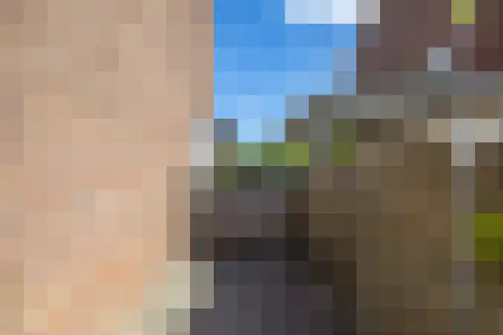 Riete 9 Assen thumbnail 19