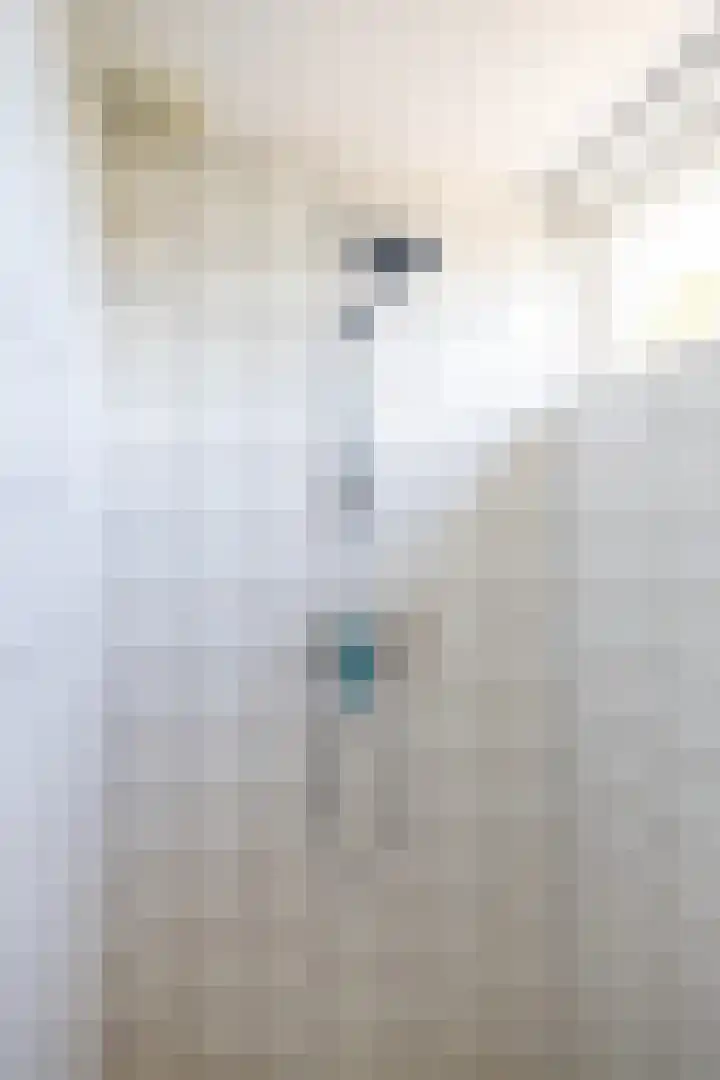 Riete 9 Assen thumbnail 28