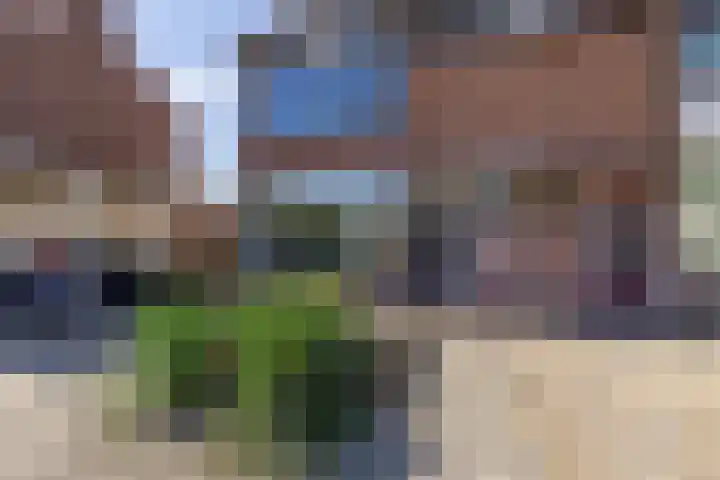 Riete 9 Assen thumbnail 4