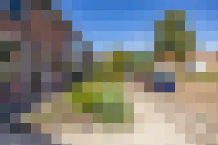 Riete 9 Assen thumbnail 5