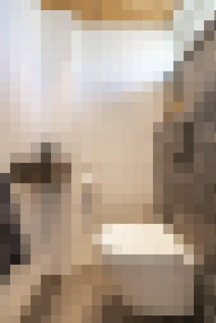 Riete 9 Assen thumbnail 8