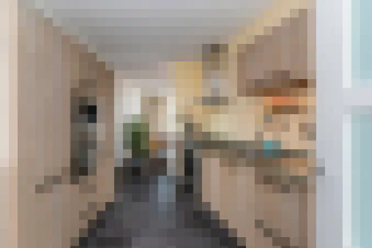 Rieteiland 20 Rijswijk thumbnail 12