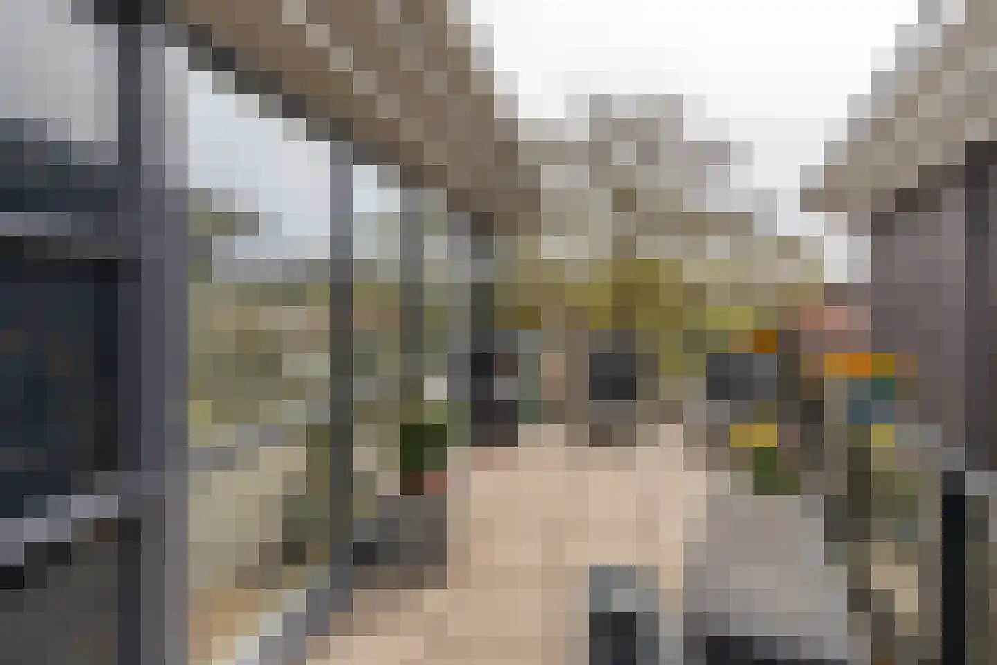 Rieteiland 20 Rijswijk thumbnail 36
