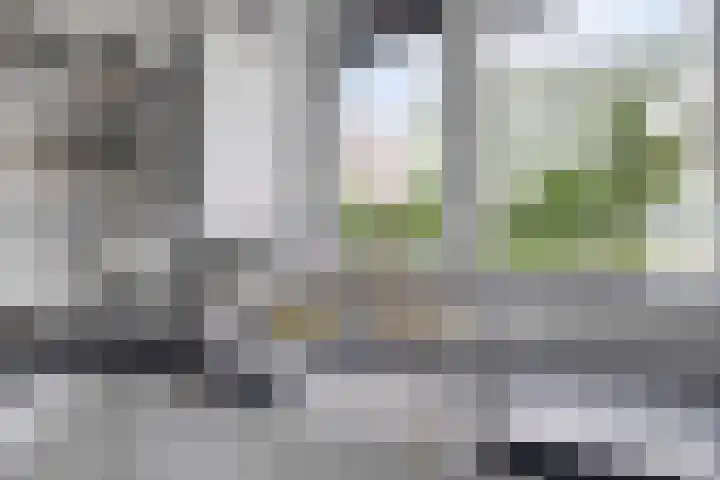 Rieteweg 2 A Zwolle thumbnail 13