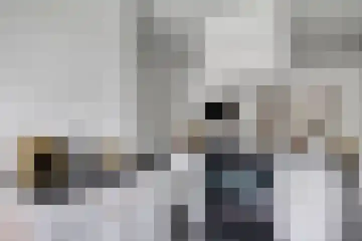 Rieteweg 2 A Zwolle thumbnail 14