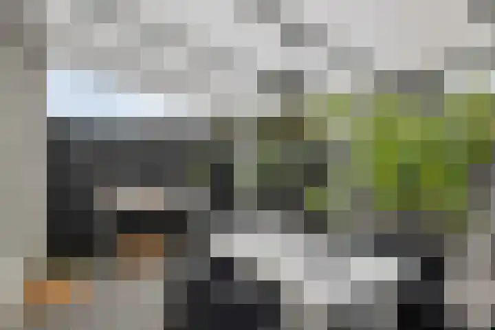 Rieteweg 2 A Zwolle thumbnail 34