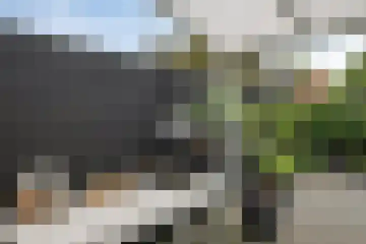 Rieteweg 2 A Zwolle thumbnail 35