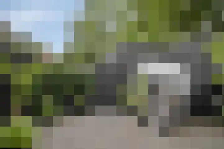 Rieteweg 2 A Zwolle thumbnail 36