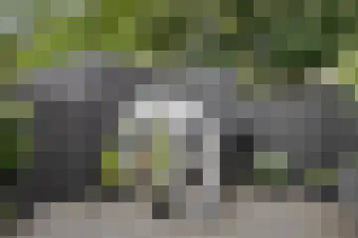 Rieteweg 2 A Zwolle thumbnail 37
