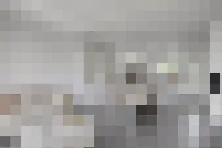 Rieteweg 2 A Zwolle thumbnail 4