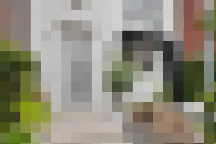 Rieteweg 2 A Zwolle thumbnail 41