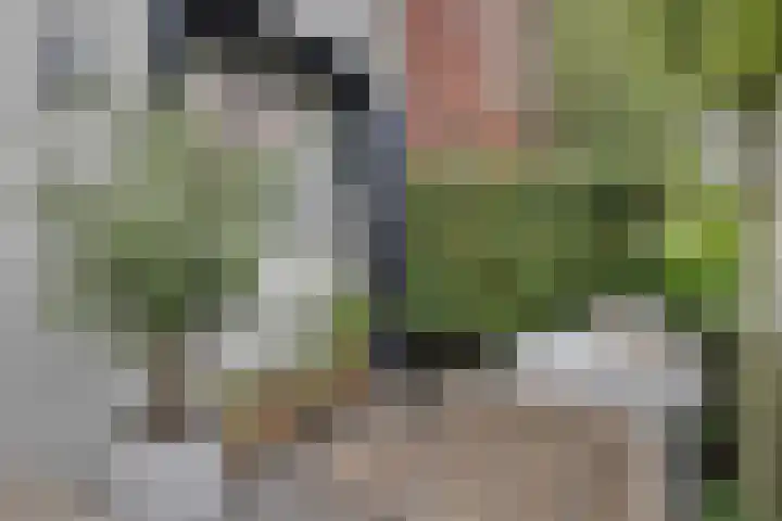 Rieteweg 2 A Zwolle thumbnail 42