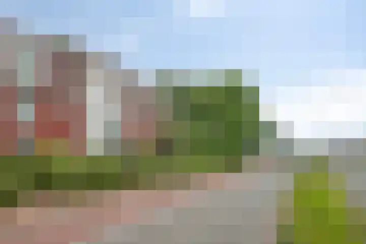 Rieteweg 2 A Zwolle thumbnail 45