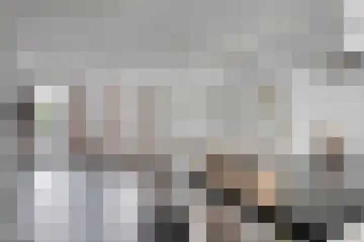 Rieteweg 2 A Zwolle thumbnail 6