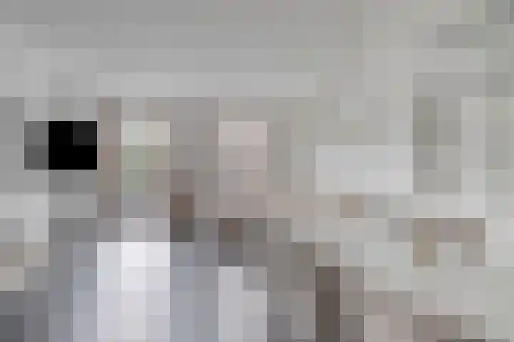 Rieteweg 2 A Zwolle thumbnail 7