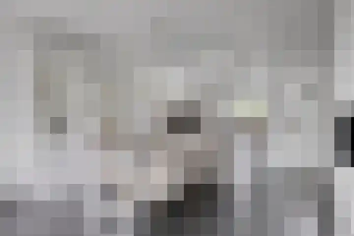 Rieteweg 2 A Zwolle thumbnail 8