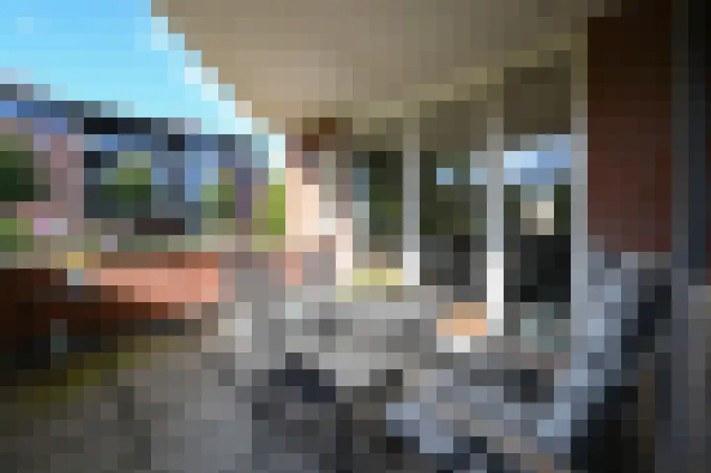 Rietgans 1 Mijdrecht thumbnail 13