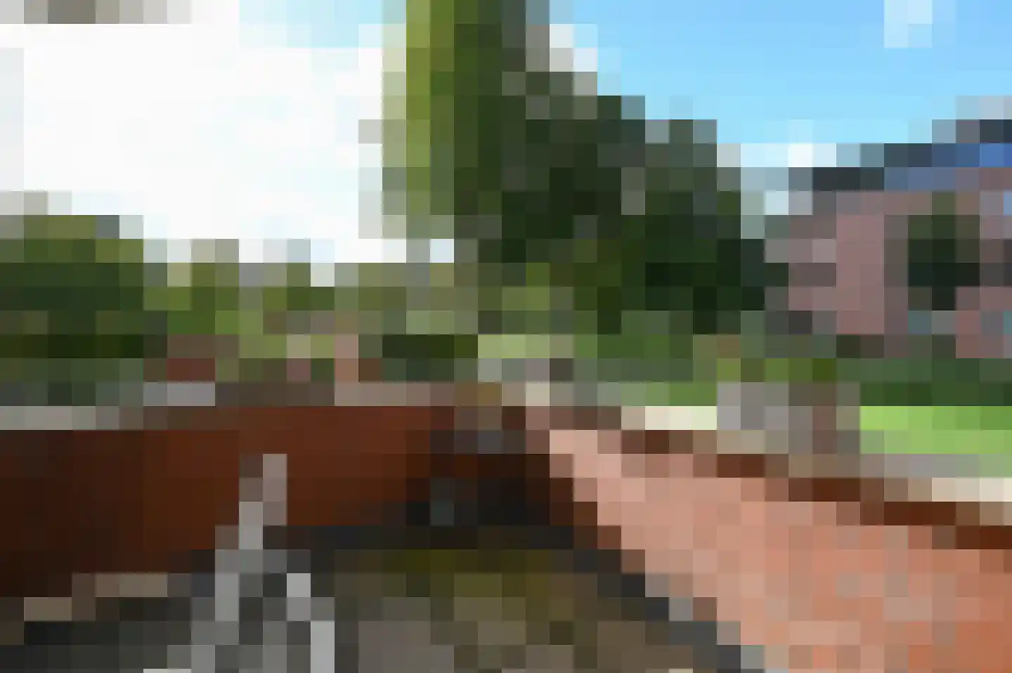 Rietgans 1 Mijdrecht thumbnail 14