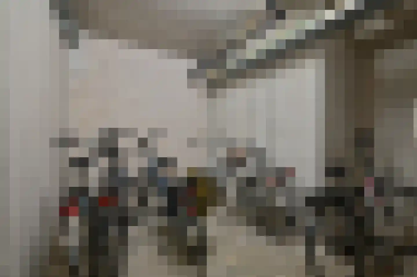 Rietgans 1 Mijdrecht thumbnail 23