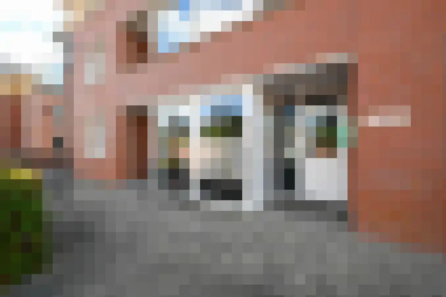 Rietgans 1 Mijdrecht thumbnail 24