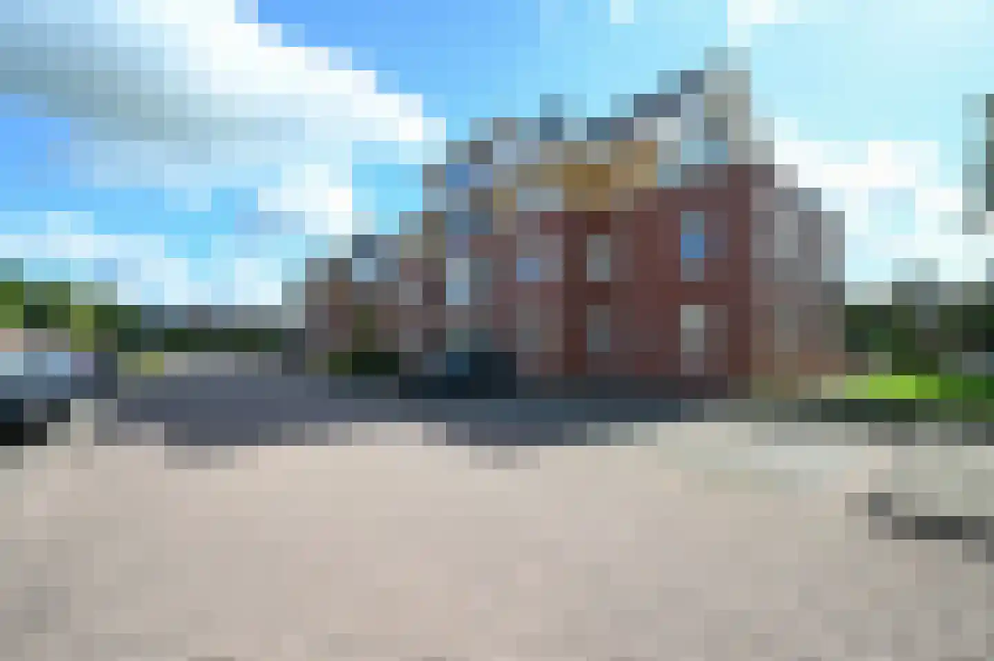 Rietgans 1 Mijdrecht thumbnail 26