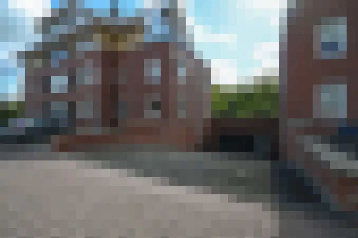 Rietgans 1 Mijdrecht thumbnail 27