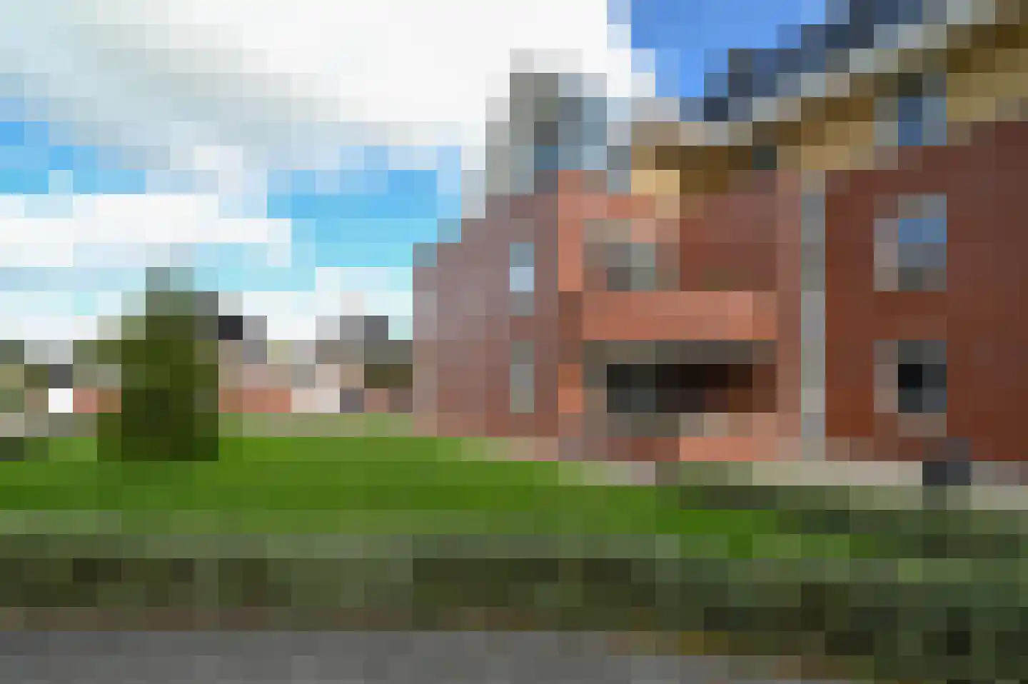 Rietgans 1 Mijdrecht thumbnail 28