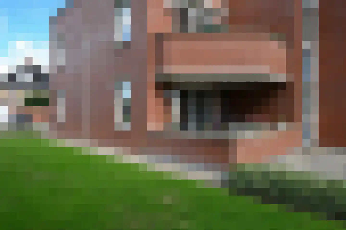 Rietgans 1 Mijdrecht thumbnail 29
