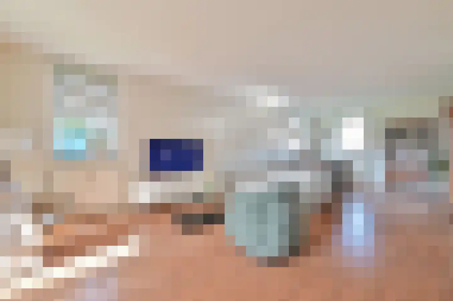 Rietgans 1 Mijdrecht thumbnail 4