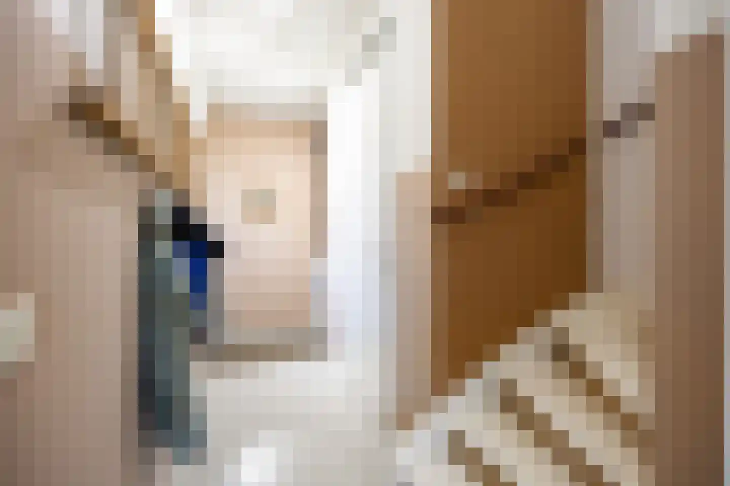 Rietgans 11 Bedum thumbnail 10