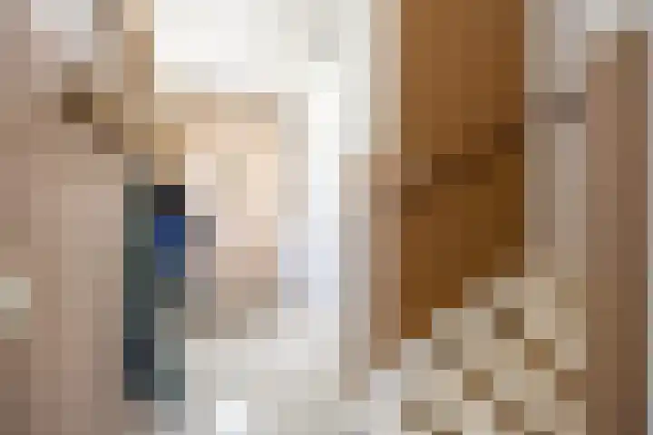 Rietgans 11 Bedum thumbnail 10